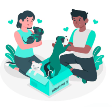 Pet Insurance