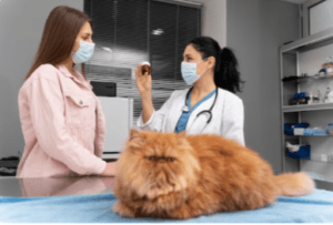 pet Health