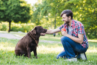 dog owner