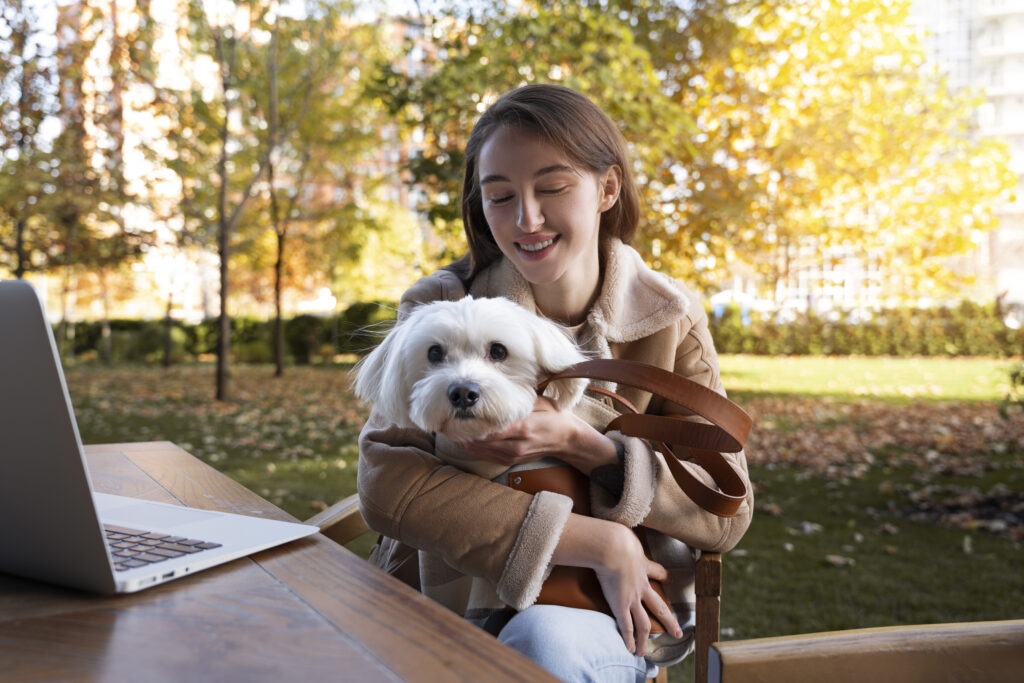 Pet Insurance FAQs: Answers to Your Most Visible Questions