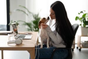 Pet Insurance