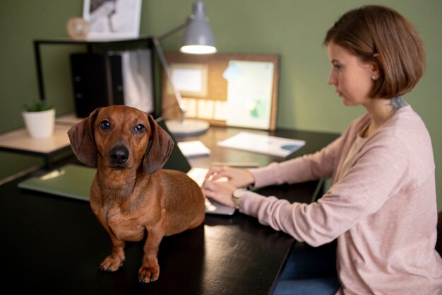 Key Features to Look for in a Pet Insurance Plan