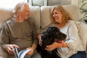 Senior Dog Health Insurance Plans: A Comprehensive Guide