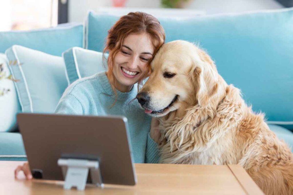 Affordable Pet Insurance Plans: Protect Your Furry Friends Without Breaking the Bank